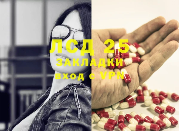 стаф Аркадак